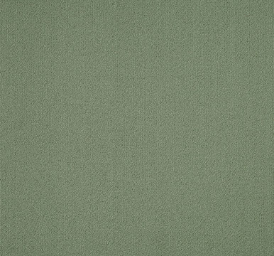 Tru Colours Color: 68310