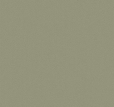 Tru Colours Color: 68545