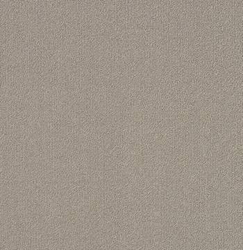 Colour Plank Color: 95155