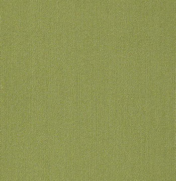Colour Plank Color: 95325
