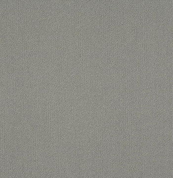 Colour Plank Color: 95555
