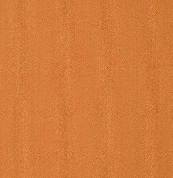 Colour Plank Color: 95675