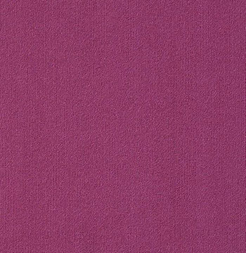 Colour Plank Color: 95890